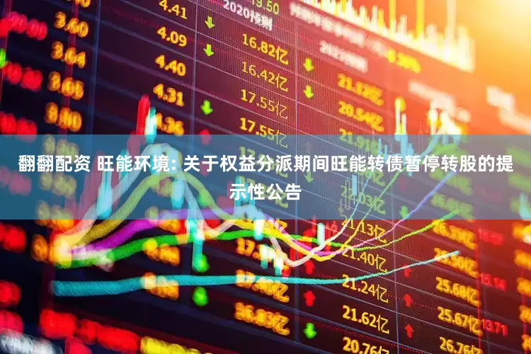 翻翻配资 旺能环境: 关于权益分派期间旺能转债暂停转股的提示性公告