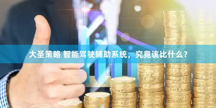 大圣策略 智能驾驶辅助系统，究竟该比什么？